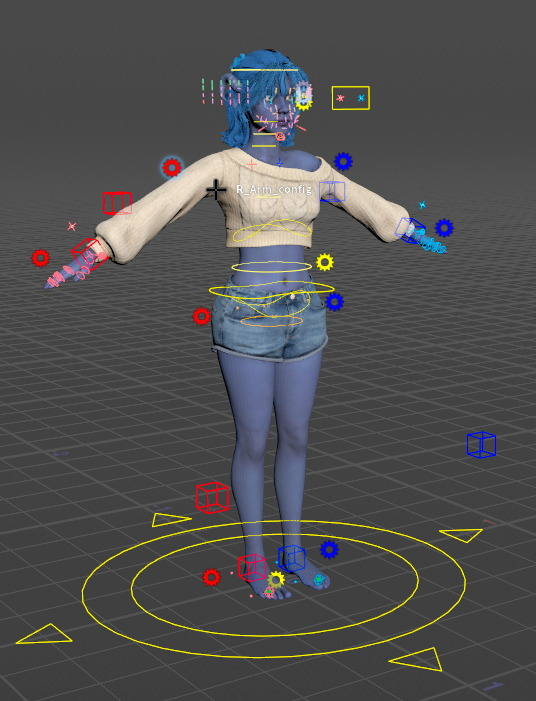The rig in the animate state
