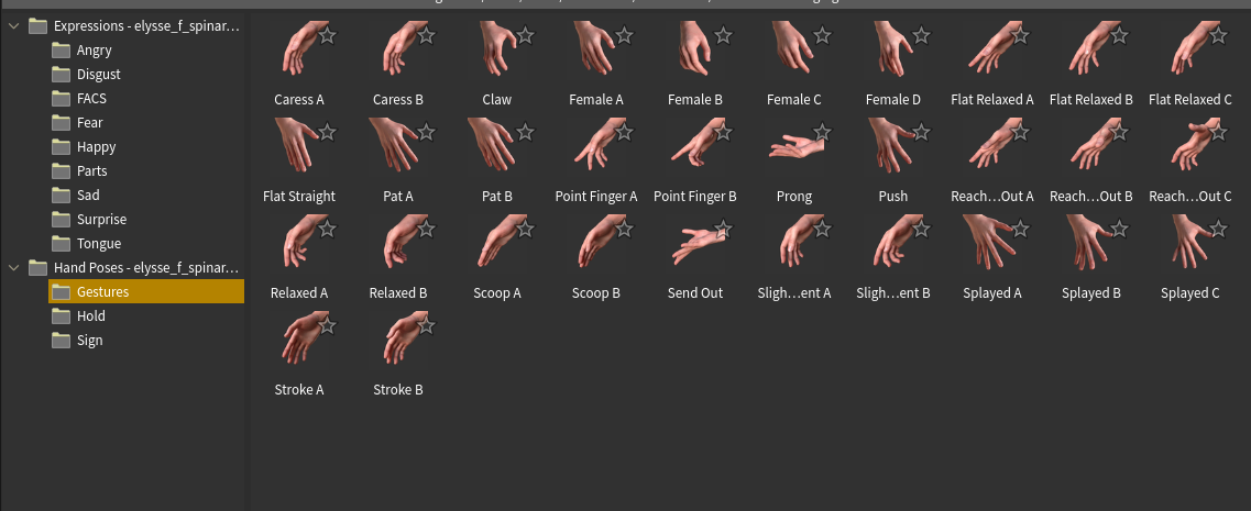The hand poses: Gestures, Hold and Sign